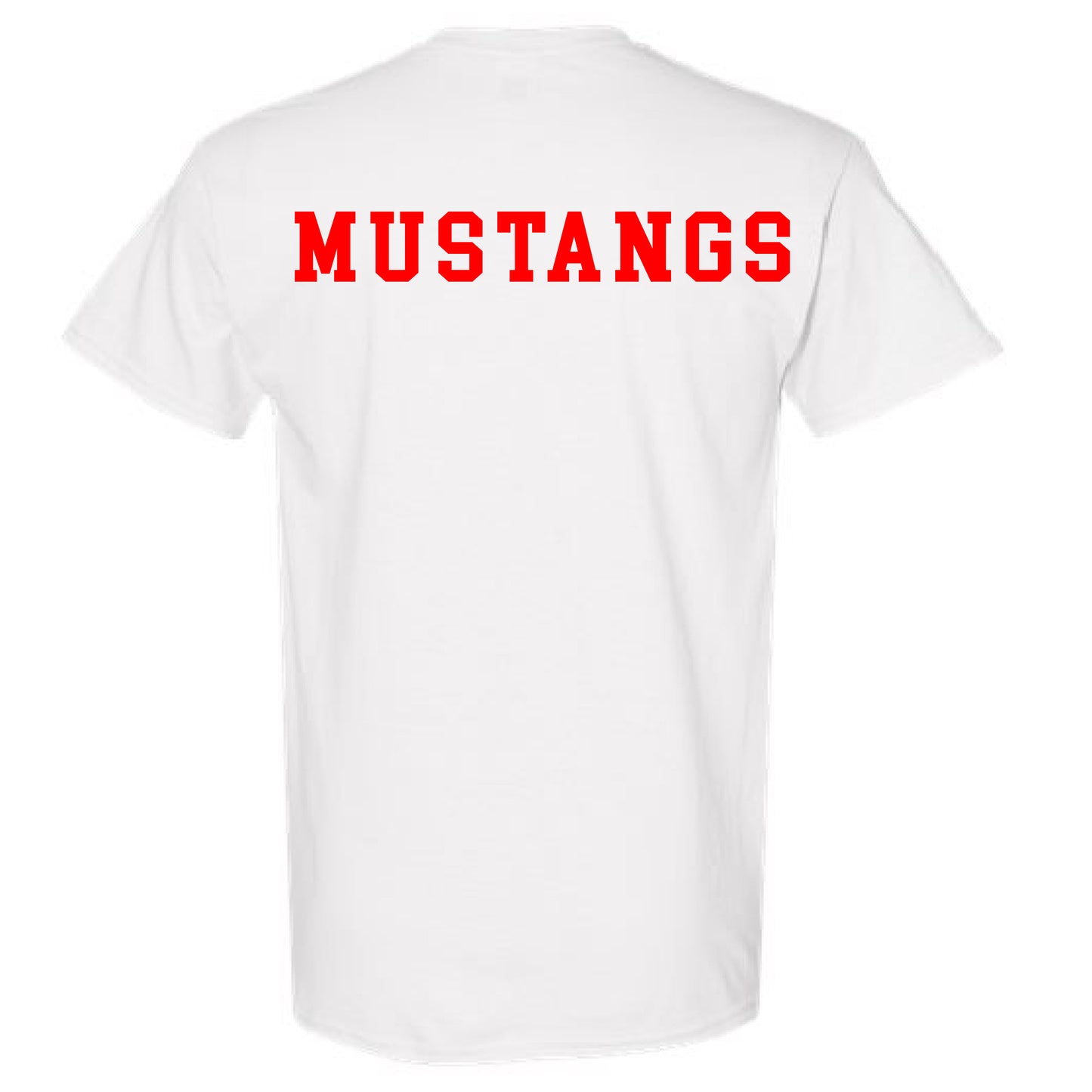 MHS Band Digital v2